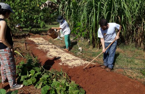 Fundação Cargill e Enactus Brasil anunciam projetos vencedores do Prêmio Alimentação em Foco 2020